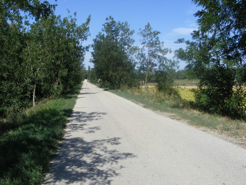 DSCF5196