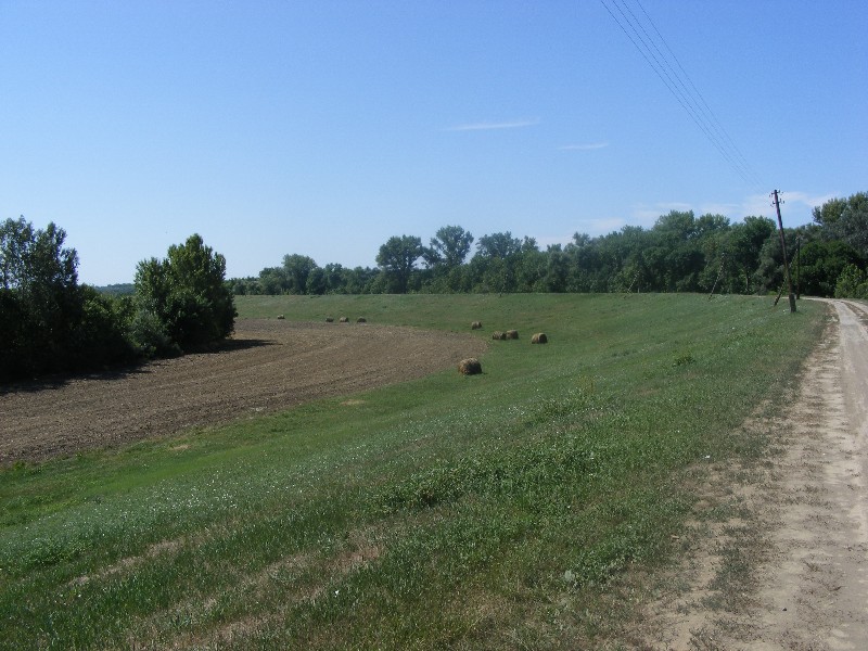 DSCF5199
