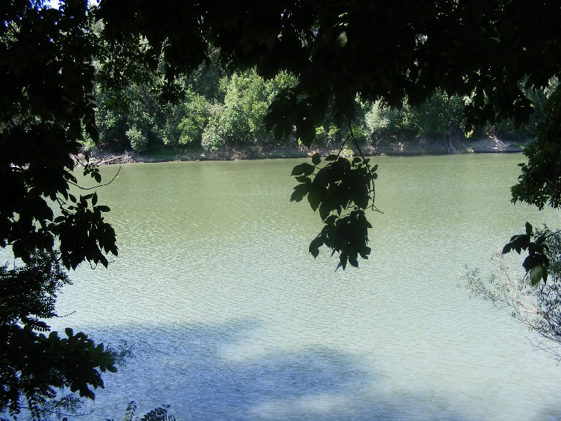 DSCF5206