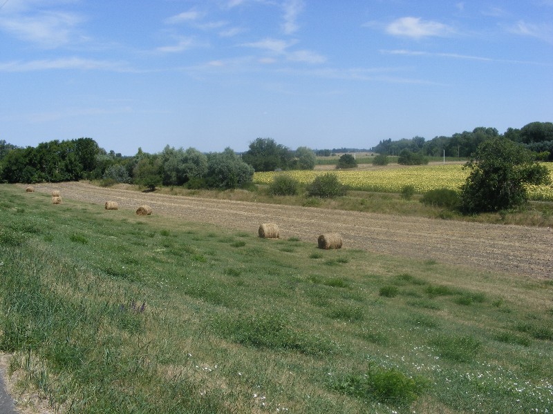 DSCF5213