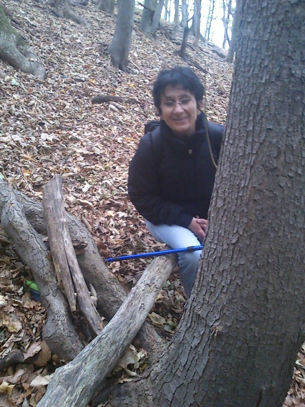 GCPOGA_20121012114458